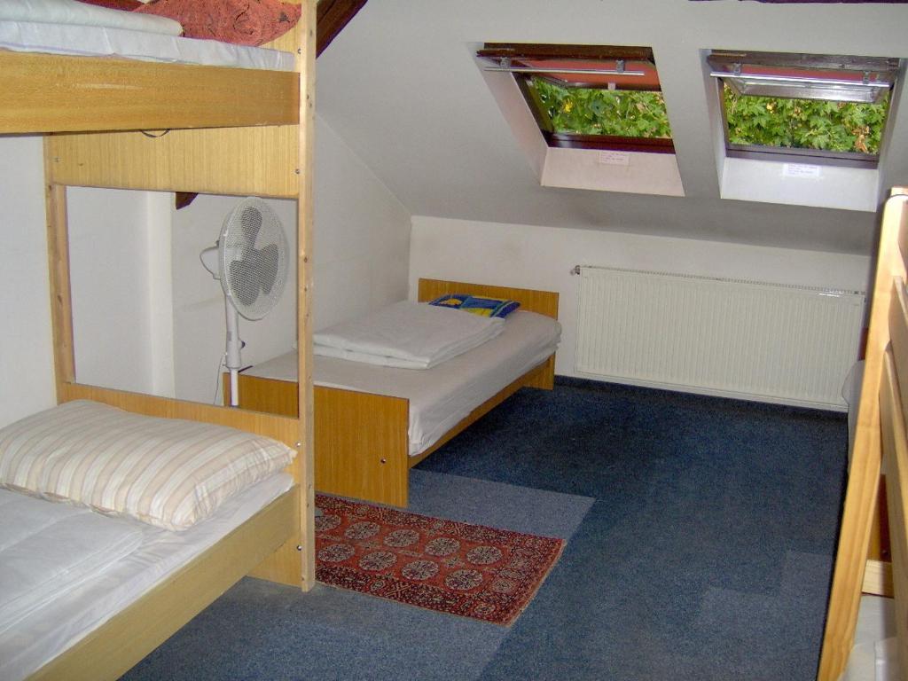 Ifi Hostel Pécs Rum bild